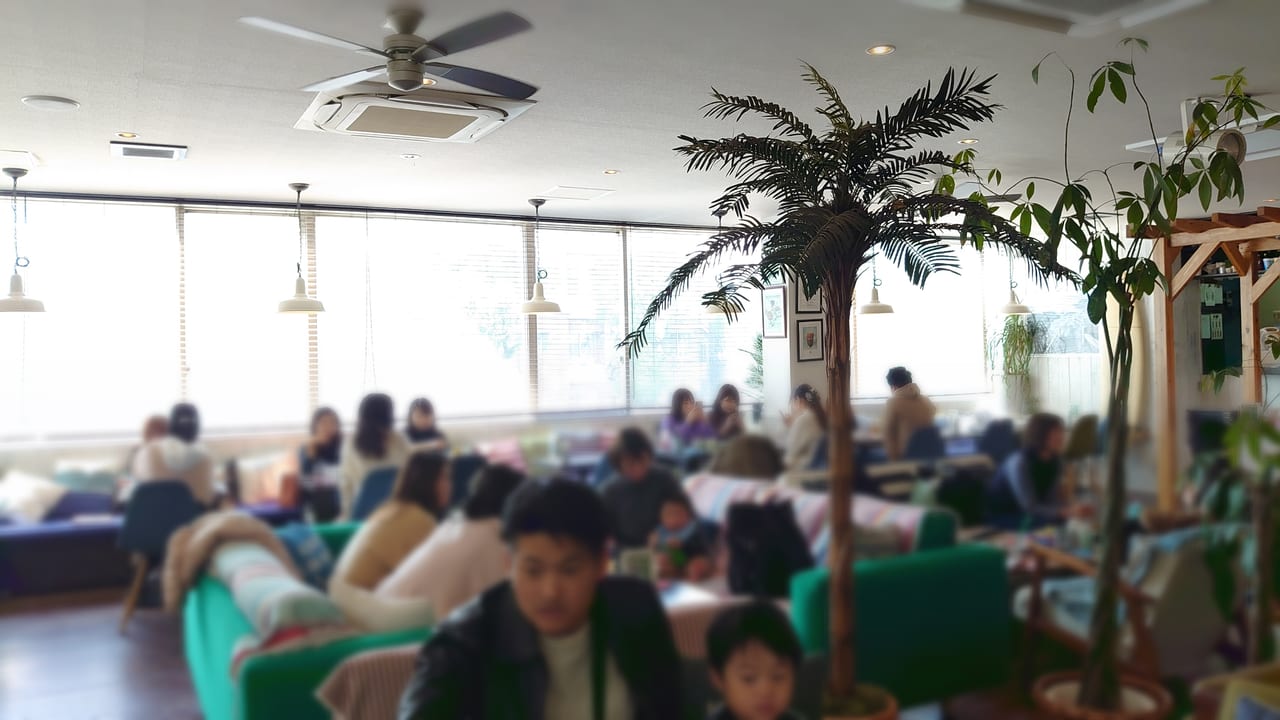 鹿児島市 大人も子供も楽しめる 西海岸風おしゃれカフェ Angelo Cafe に行って来ました 号外net 鹿児島市