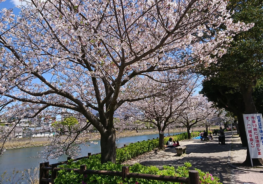 甲突川