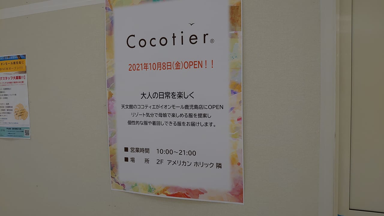 cocotier